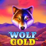 Wolf Gold slot: all info + Free Play